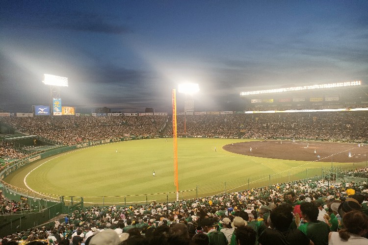 甲子園球場で阪神vs中日戦を観戦しました