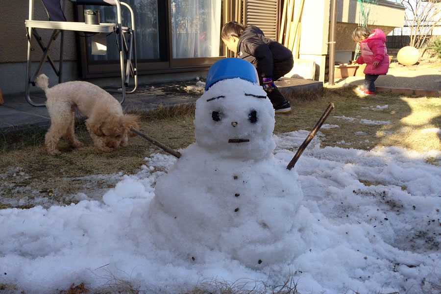 雪だるまを作りました。