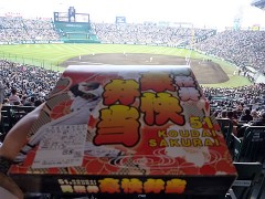 2010tigers-05
