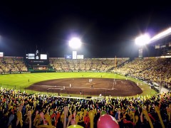 2010tigers-lucky7-01