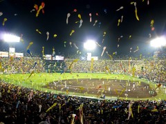 2010tigers-lucky7-02