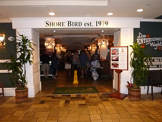 shorebird01 shorebird01