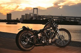 custombike-4 custombike-4