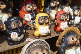tanukki-05 tanukki-05