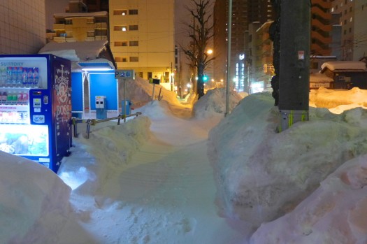 2013hokkaido2-sapporo-ya01